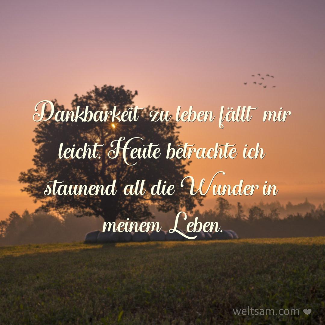 Dankbarkeit zu leben fällt mir leicht. Heute betrachte ich staunend all die Wunder in meinem Leben.