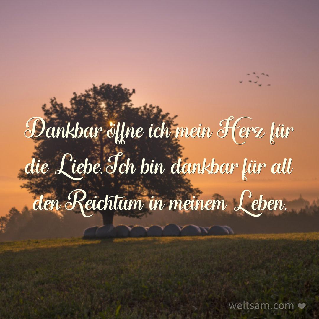 Dankbar öffne ich mein Herz für die Liebe. Ich bin dankbar für all den Reichtum in meinem Leben.