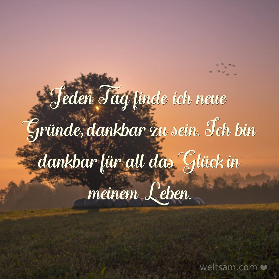 Jeden Tag finde ich neue Gründe, dankbar zu sein. Ich bin dankbar für all das Glück in meinem Leben.
