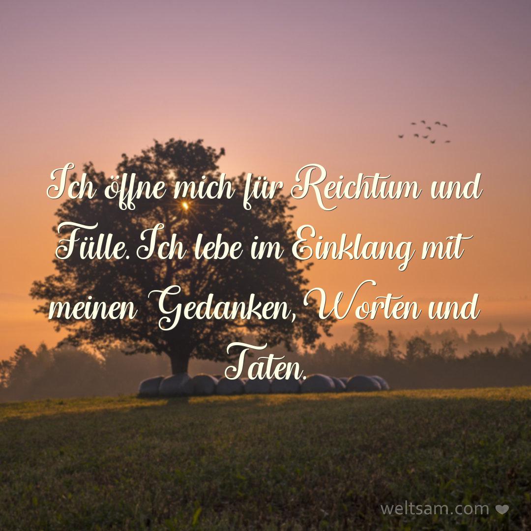 Ich öffne mich für Reichtum und Fülle. Ich lebe im Einklang mit meinen Gedanken, Worten und Taten.