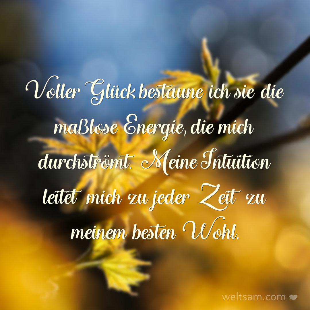 Voller Glück bestaune ich sie die maßlose Energie, die mich durchströmt. Meine Intuition leitet mich zu jeder Zeit zu meinem besten Wohl.