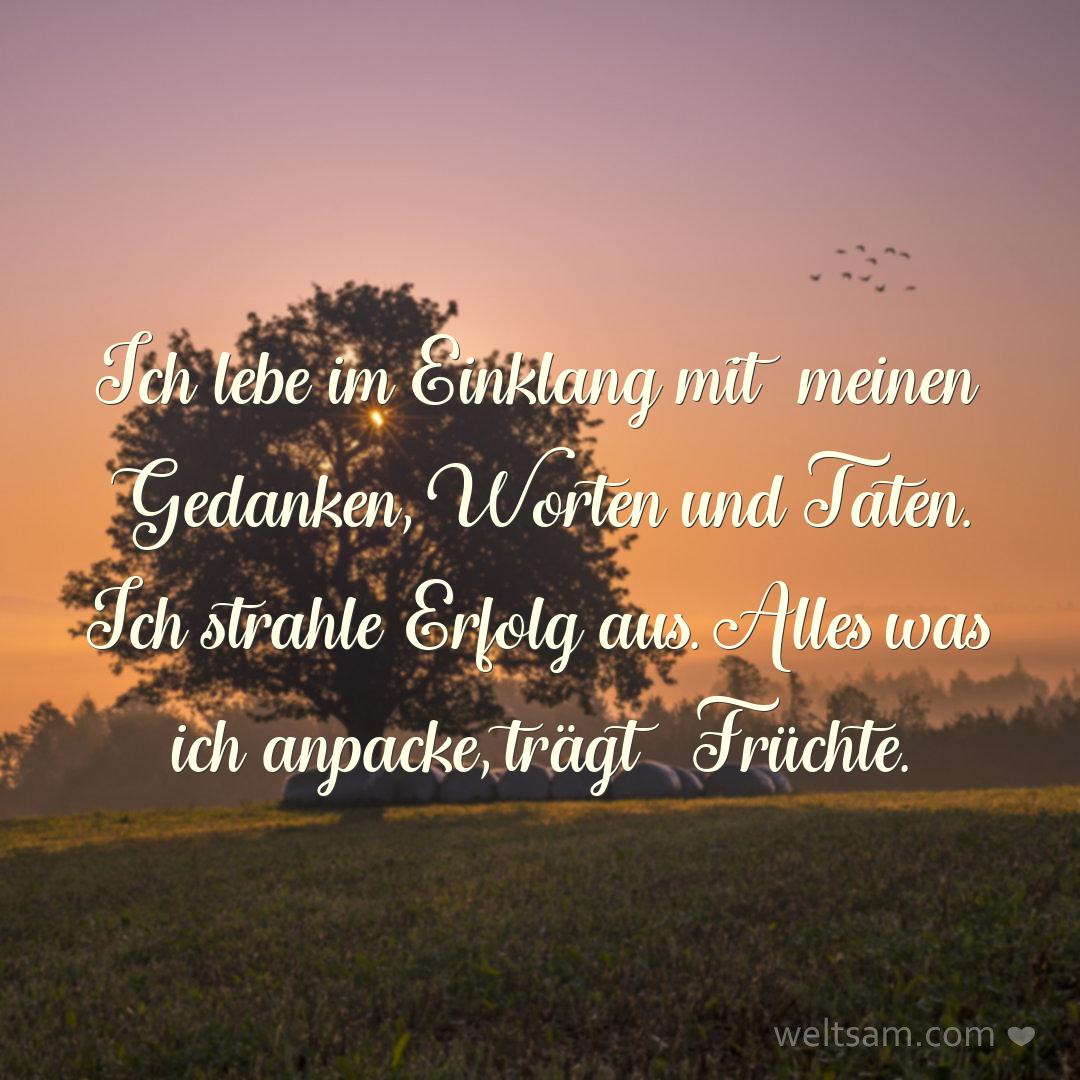 Ich lebe im Einklang mit meinen Gedanken, Worten und Taten. Ich strahle Erfolg aus. Alles was ich anpacke, trägt Früchte.
