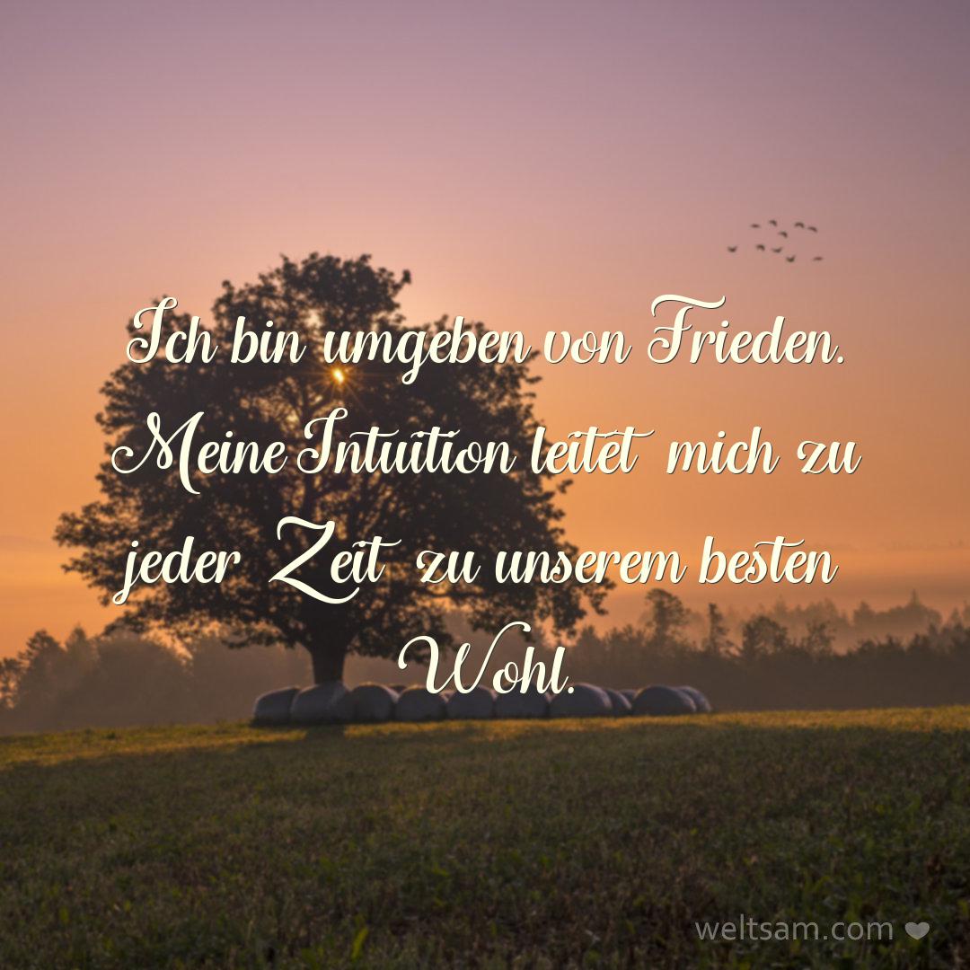 Ich bin umgeben von Frieden. Meine Intuition leitet mich zu jeder Zeit zu unserem besten Wohl.