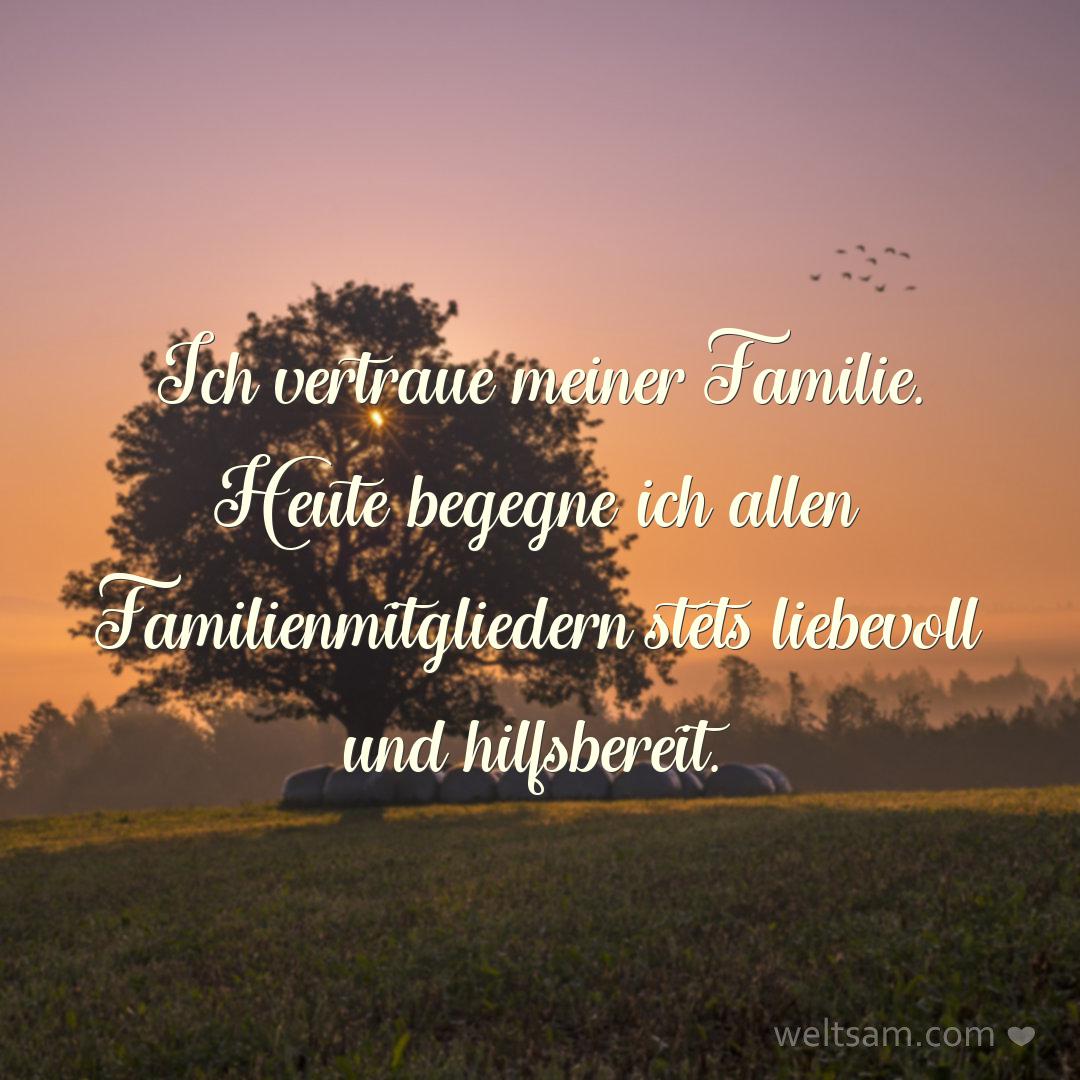 Ich vertraue meiner Familie. Heute begegne ich allen Familienmitgliedern stets liebevoll und hilfsbereit.