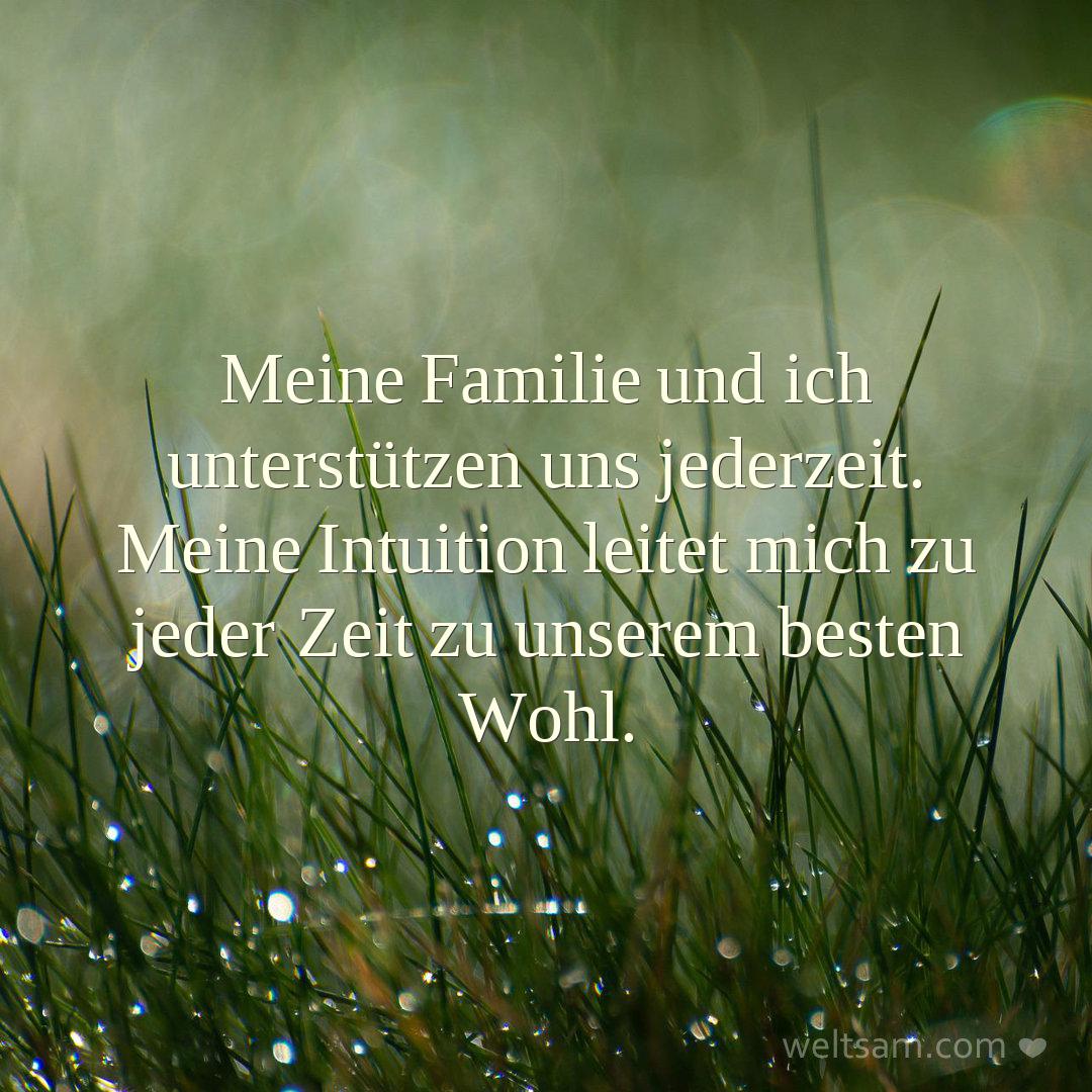 Meine Familie und ich unterstützen uns jederzeit. Meine Intuition leitet mich zu jeder Zeit zu unserem besten Wohl.