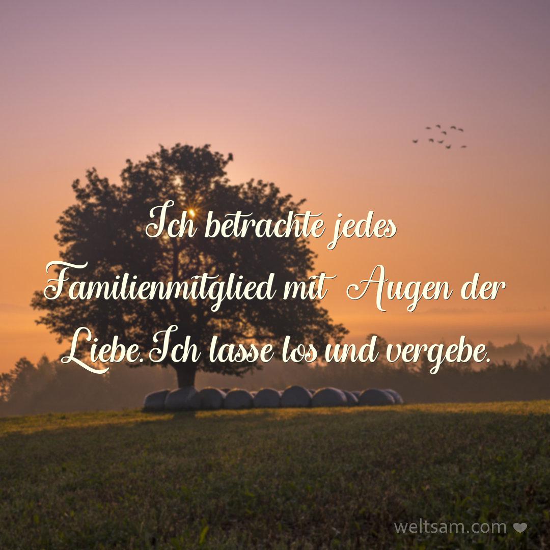 Ich betrachte jedes Familienmitglied mit Augen der Liebe. Ich lasse los und vergebe.