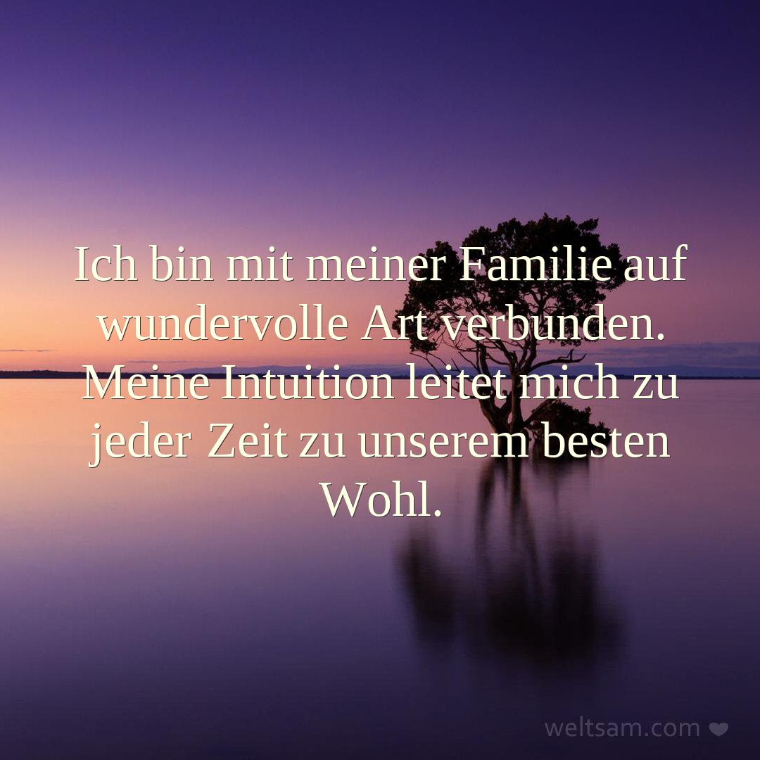 Ich bin mit meiner Familie auf wundervolle Art verbunden. Meine Intuition leitet mich zu jeder Zeit zu unserem besten Wohl.