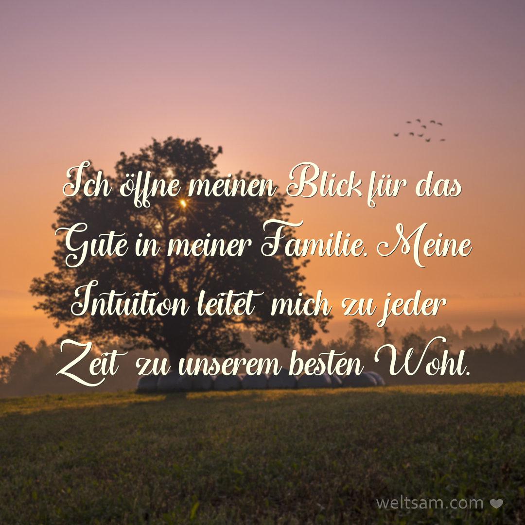 Ich öffne meinen Blick für das Gute in meiner Familie. Meine Intuition leitet mich zu jeder Zeit zu unserem besten Wohl.