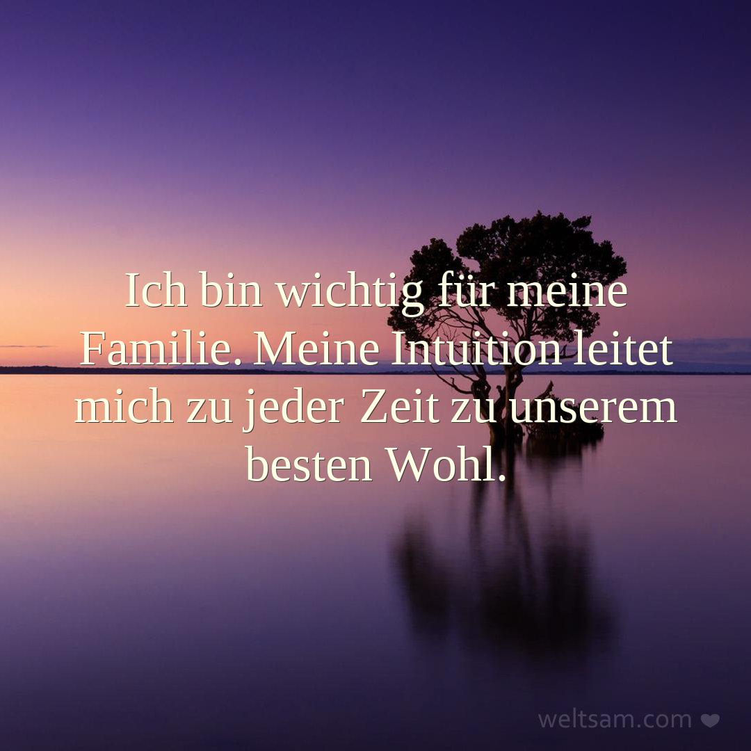 Ich bin wichtig für meine Familie. Meine Intuition leitet mich zu jeder Zeit zu unserem besten Wohl.