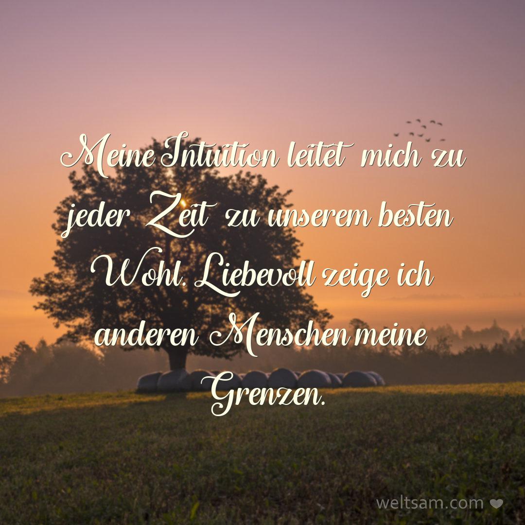 Meine Intuition leitet mich zu jeder Zeit zu unserem besten Wohl. Liebevoll zeige ich anderen Menschen meine Grenzen.