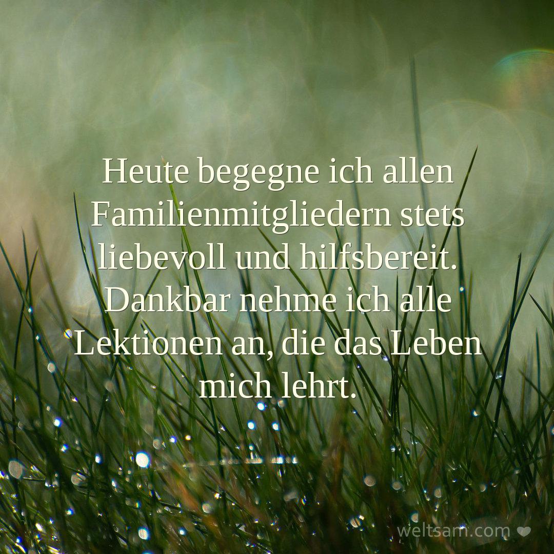 Heute begegne ich allen Familienmitgliedern stets liebevoll und hilfsbereit. Dankbar nehme ich alle Lektionen an, die das Leben mich lehrt.