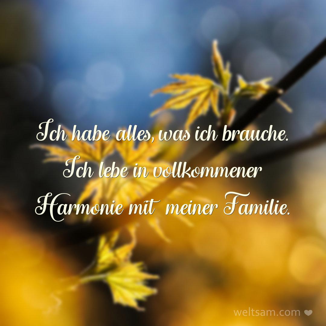 Ich habe alles, was ich brauche. Ich lebe in vollkommener Harmonie mit meiner Familie.