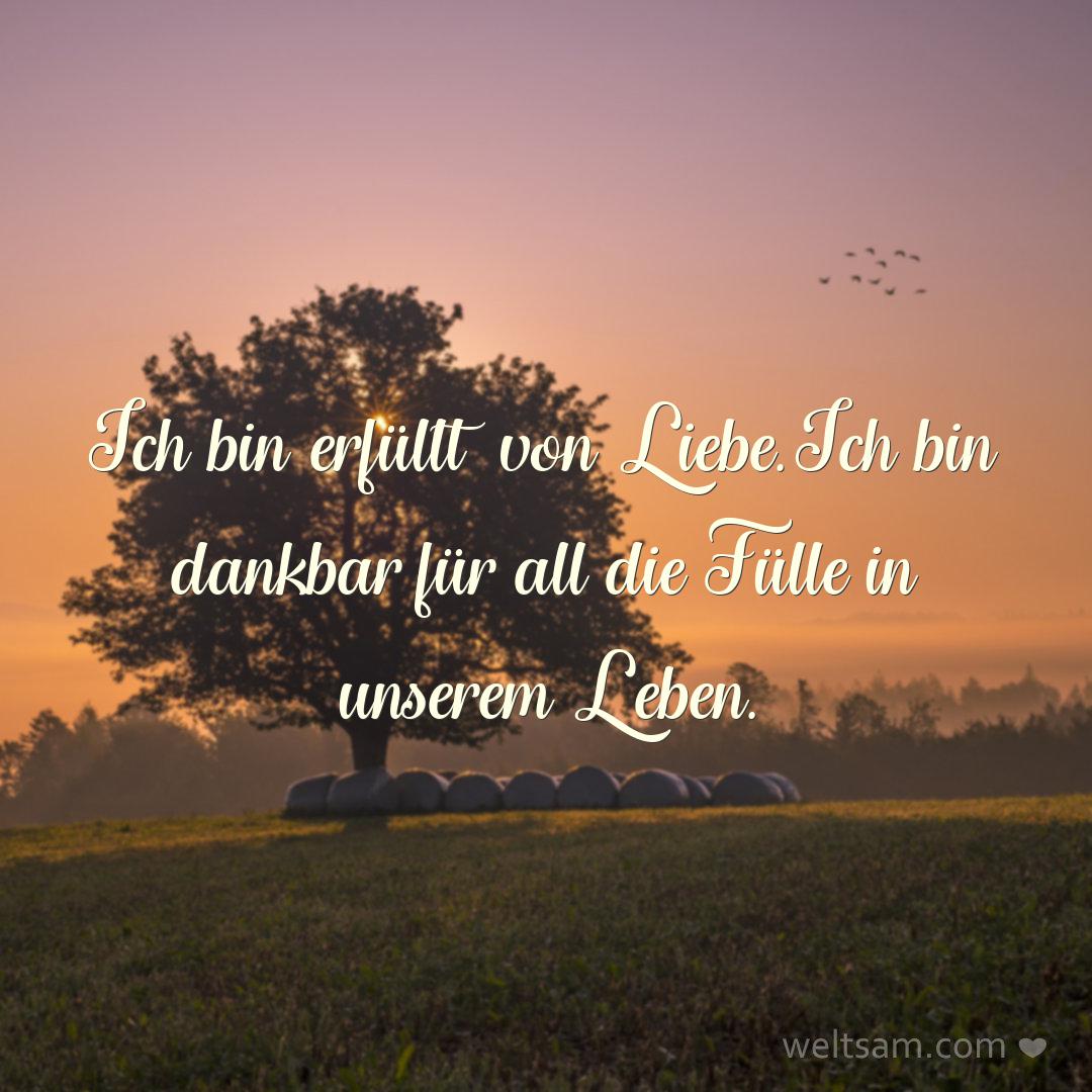 Ich bin erfüllt von Liebe. Ich bin dankbar für all die Fülle in unserem Leben.