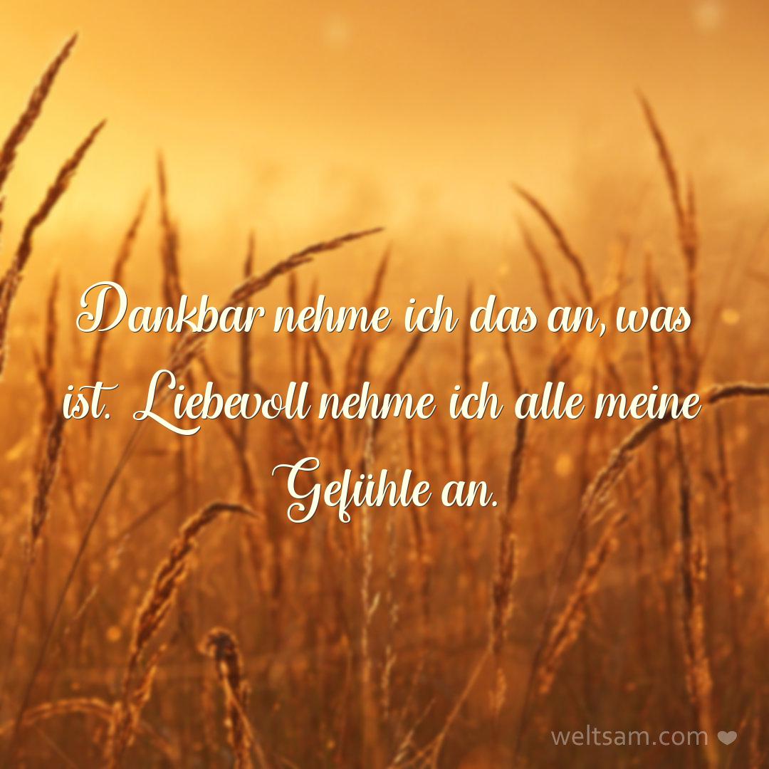 Dankbar nehme ich das an, was ist. Liebevoll nehme ich alle meine Gefühle an.