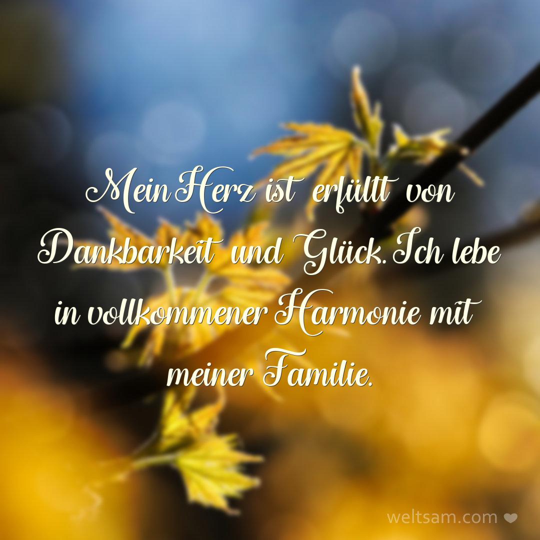 Mein Herz ist erfüllt von Dankbarkeit und Glück. Ich lebe in vollkommener Harmonie mit meiner Familie.