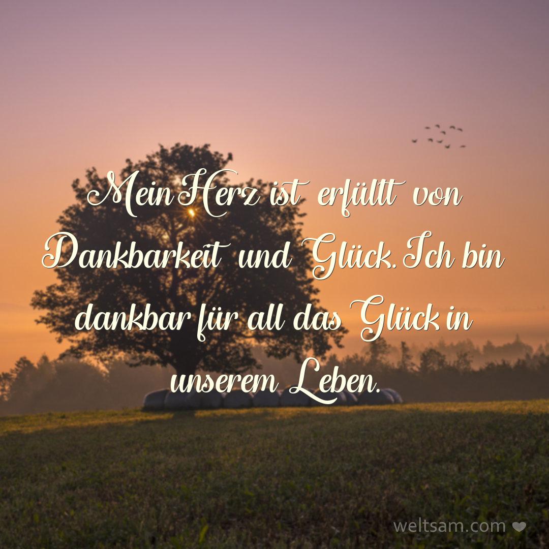 Mein Herz ist erfüllt von Dankbarkeit und Glück. Ich bin dankbar für all das Glück in unserem Leben.