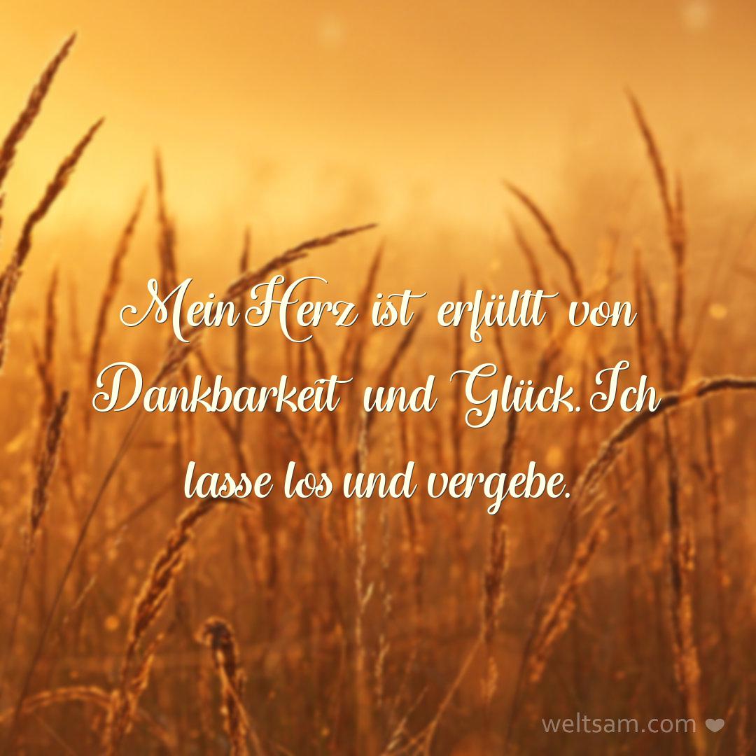 Mein Herz ist erfüllt von Dankbarkeit und Glück. Ich lasse los und vergebe.