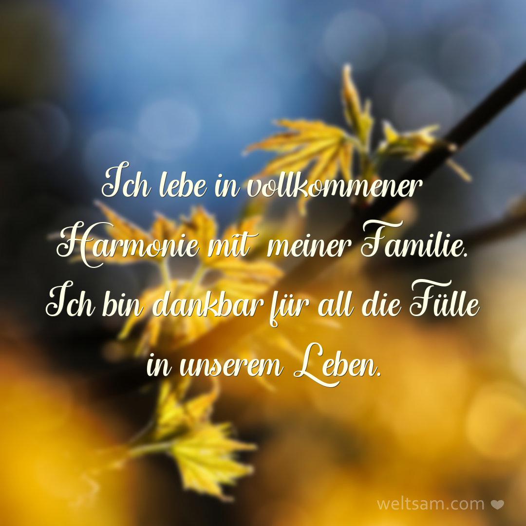 Ich lebe in vollkommener Harmonie mit meiner Familie. Ich bin dankbar für all die Fülle in unserem Leben.