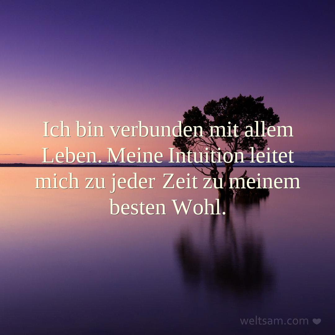 Ich bin verbunden mit allem Leben. Meine Intuition leitet mich zu jeder Zeit zu meinem besten Wohl.