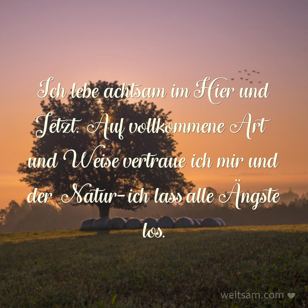 Ich lebe achtsam im Hier und Jetzt. Auf vollkommene Art und Weise vertraue ich mir und der Natur – ich lass alle Ängste los.