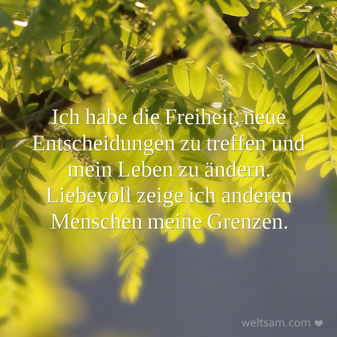 Ich habe die Freiheit, neue Entscheidungen zu treffen und mein Leben zu ändern. Liebevoll zeige ich anderen Menschen meine Grenzen.