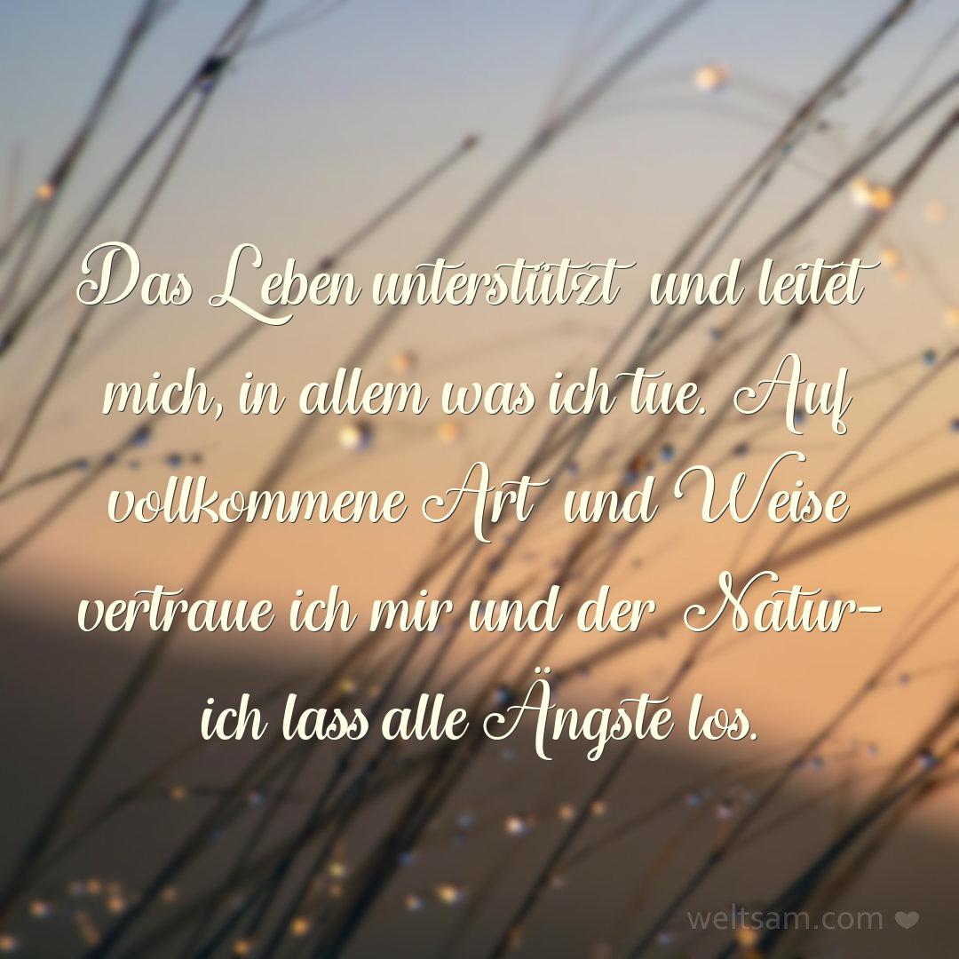 Das Leben unterstützt und leitet mich, in allem was ich tue. Auf vollkommene Art und Weise vertraue ich mir und der Natur – ich lass alle Ängste los.