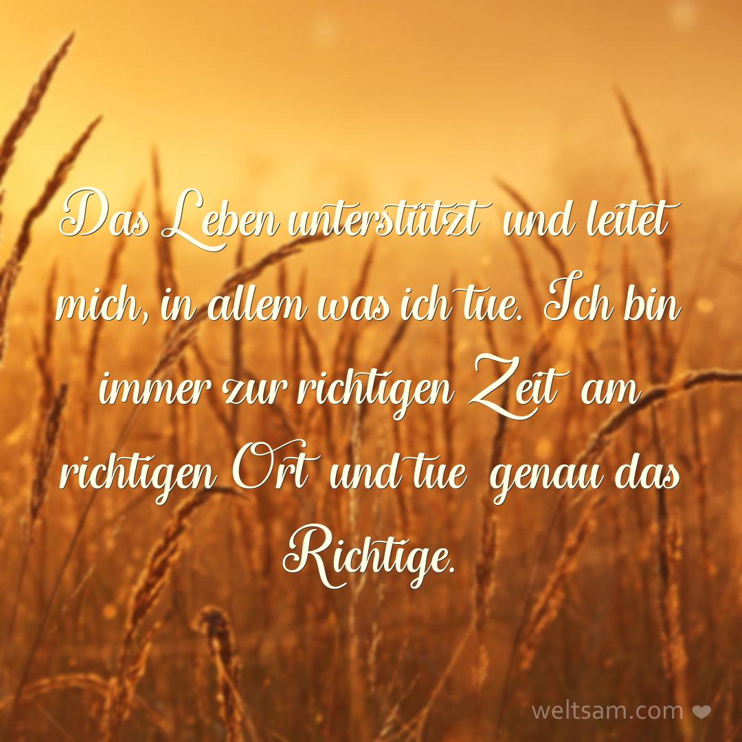 Das Leben unterstützt und leitet mich, in allem was ich tue. Ich bin immer zur richtigen Zeit am richtigen Ort und tue genau das Richtige.