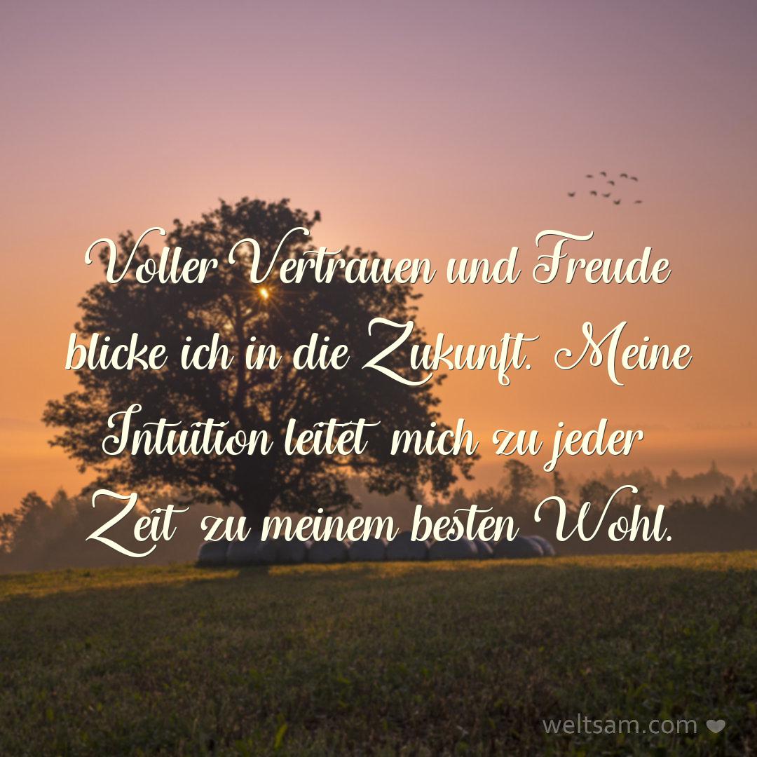 Voller Vertrauen und Freude blicke ich in die Zukunft. Meine Intuition leitet mich zu jeder Zeit zu meinem besten Wohl.