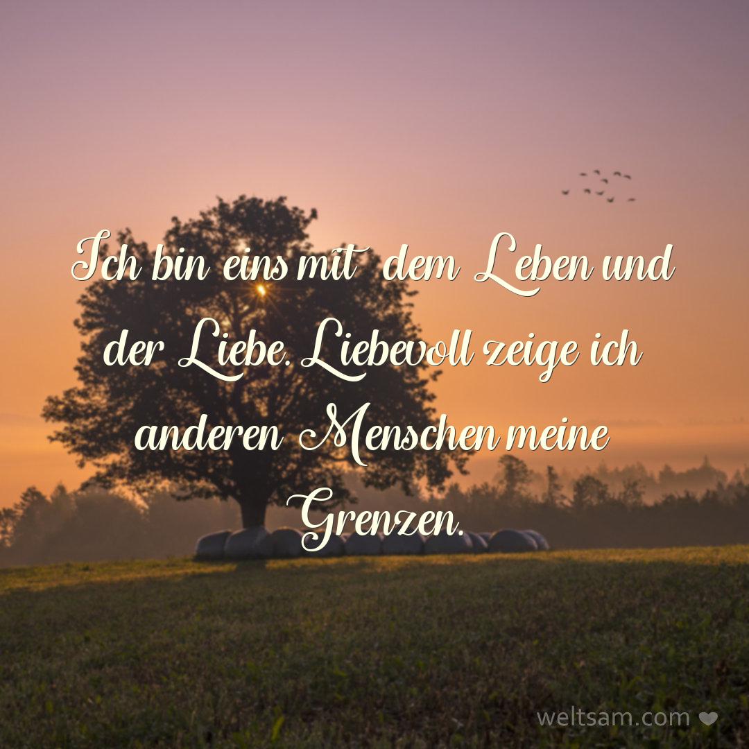 Ich bin eins mit dem Leben und der Liebe. Liebevoll zeige ich anderen Menschen meine Grenzen.