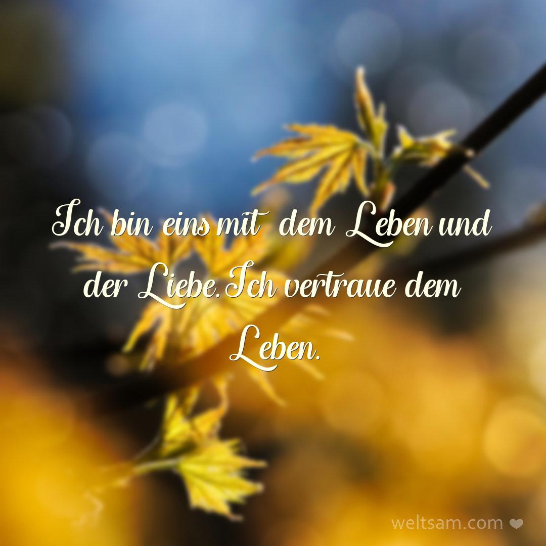 Ich bin eins mit dem Leben und der Liebe. Ich vertraue dem Leben.