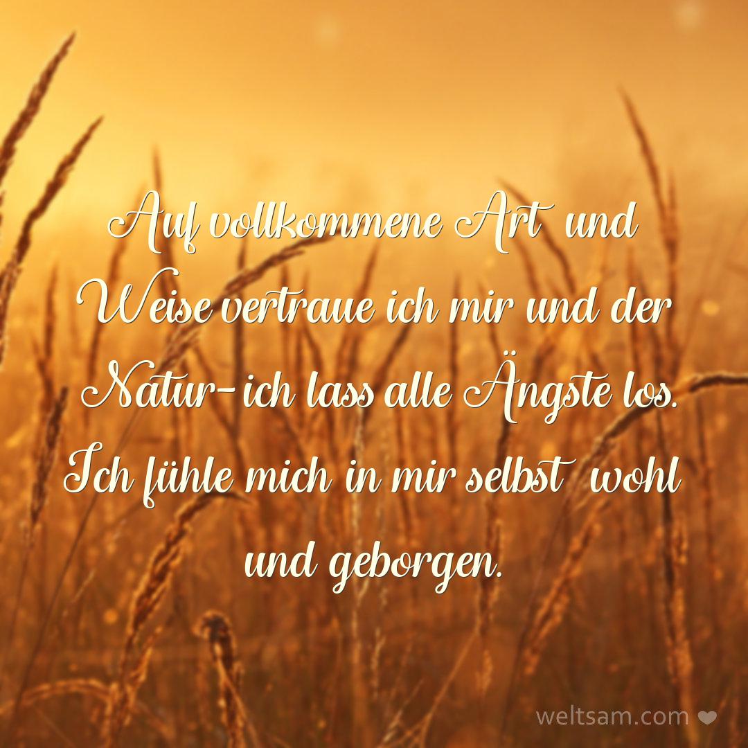 Auf vollkommene Art und Weise vertraue ich mir und der Natur – ich lass alle Ängste los. Ich fühle mich in mir selbst wohl und geborgen.