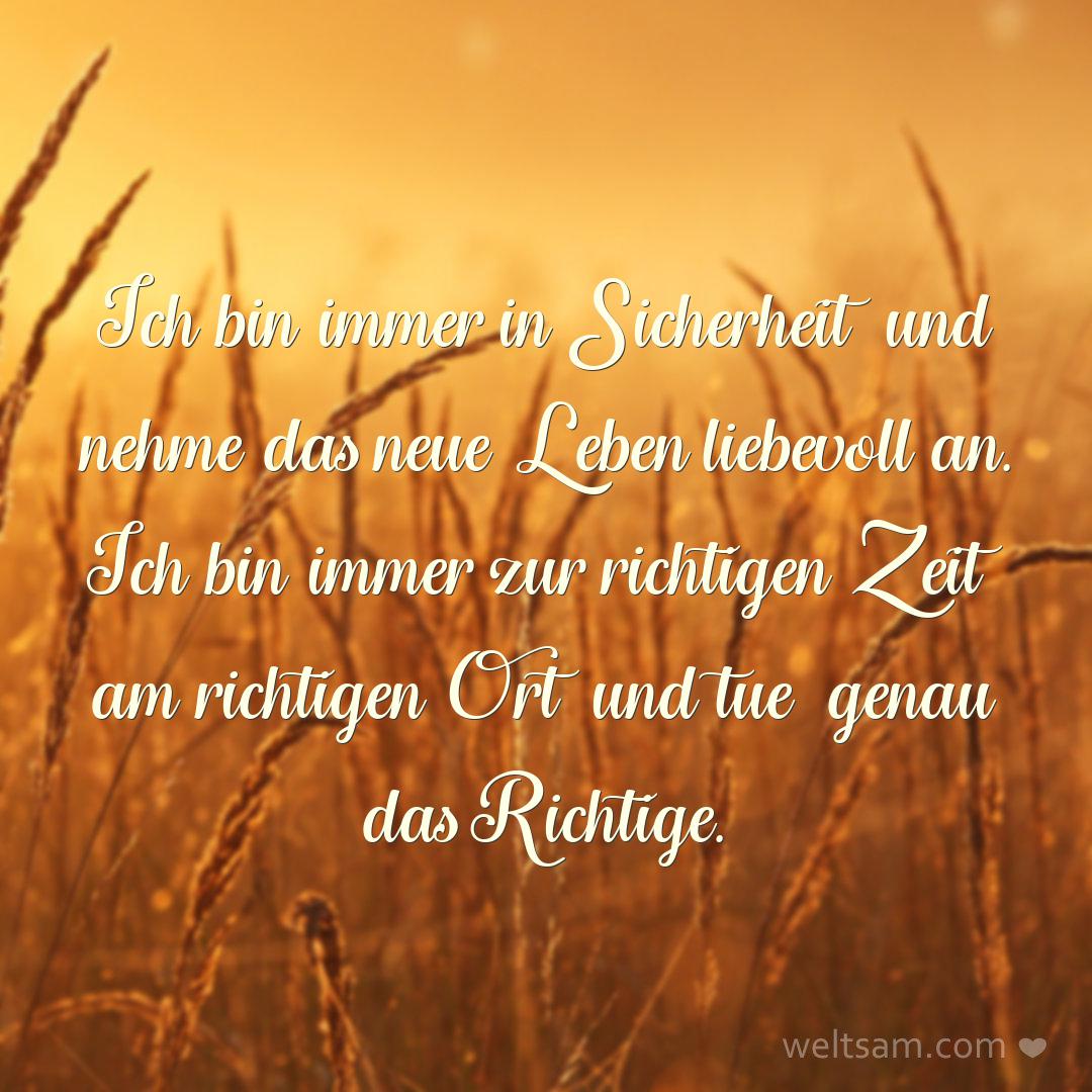 Ich bin immer in Sicherheit und nehme das neue Leben liebevoll an. Ich bin immer zur richtigen Zeit am richtigen Ort und tue genau das Richtige.