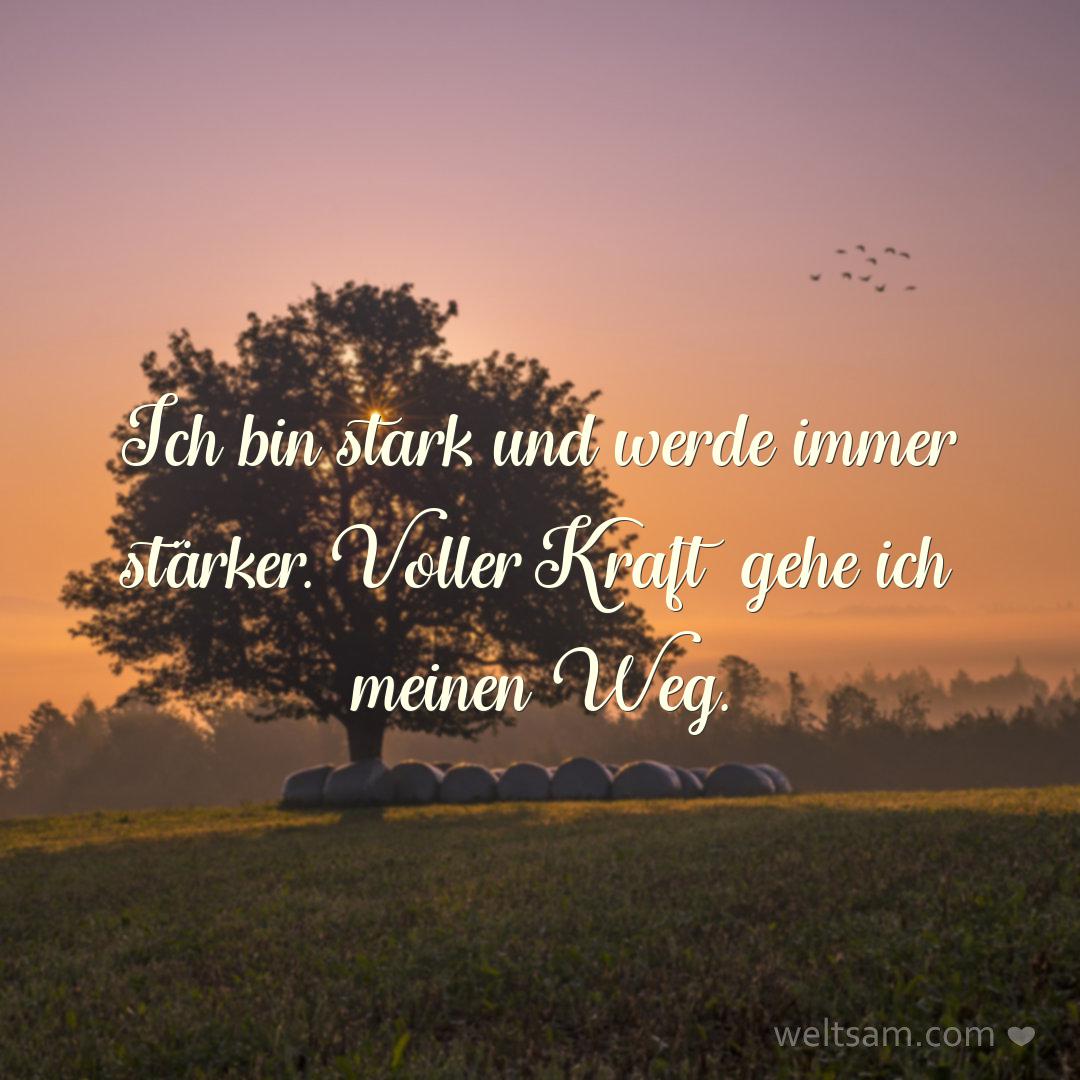 Ich bin stark und werde immer stärker. Voller Kraft gehe ich meinen Weg.