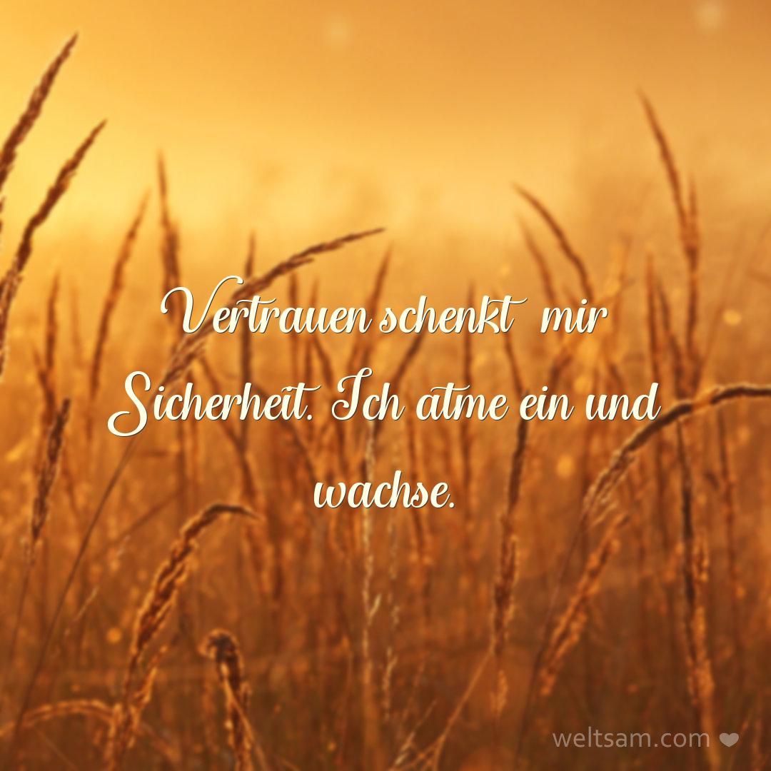 Vertrauen schenkt mir Sicherheit. Ich atme ein und wachse.