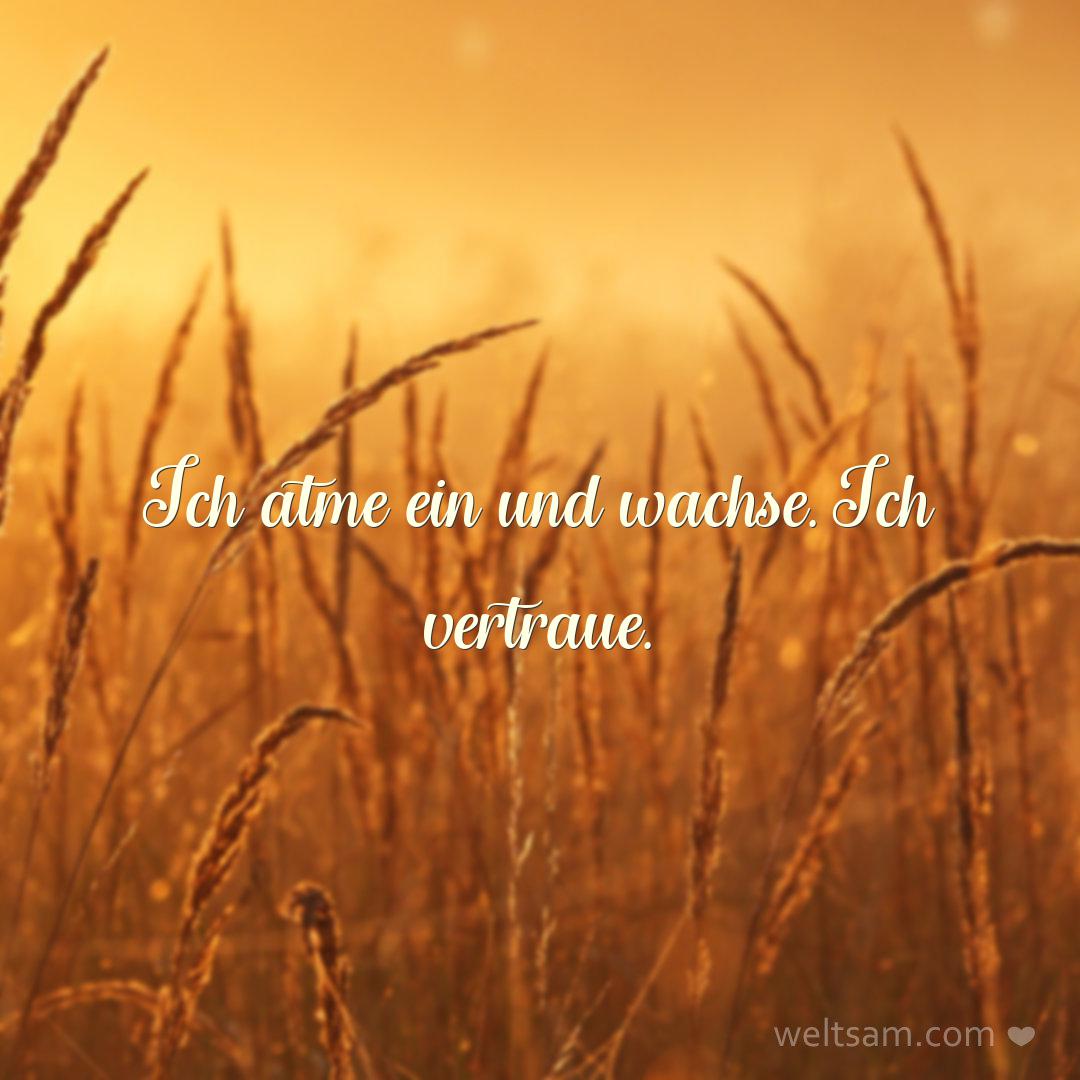Ich atme ein und wachse. Ich vertraue.