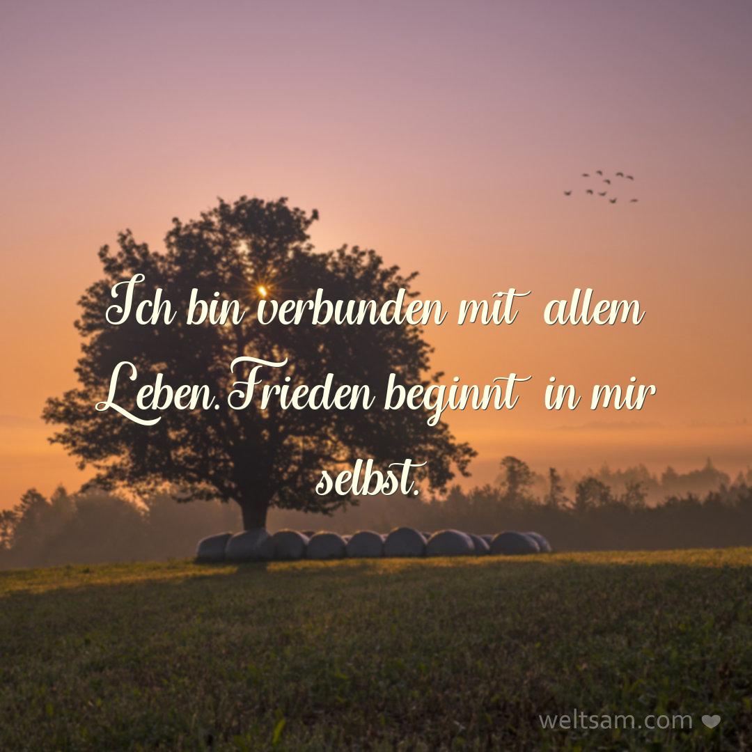 Ich bin verbunden mit allem Leben. Frieden beginnt in mir selbst.